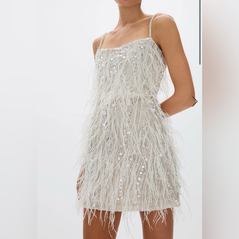 Rachel Gilbert Cynthia Silver Feathered Mini Dress